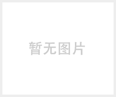 批发阻旋开关 阻旋料位开关 限位开关 上料机限位开关